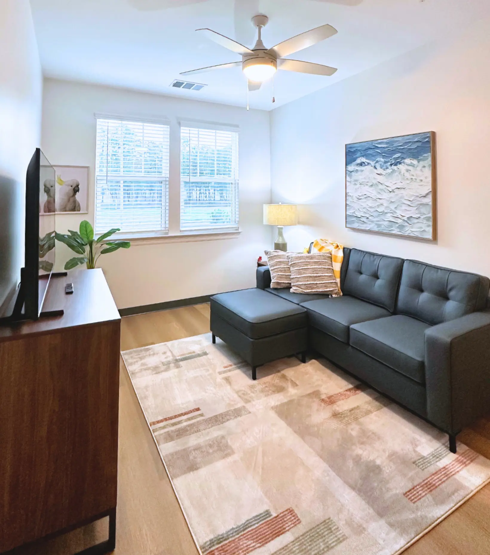 a furnished living room