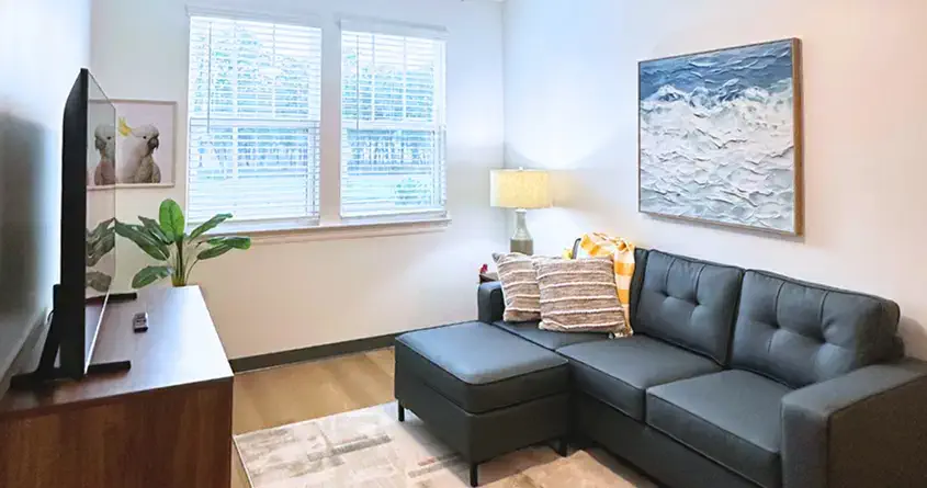 a furnished living room